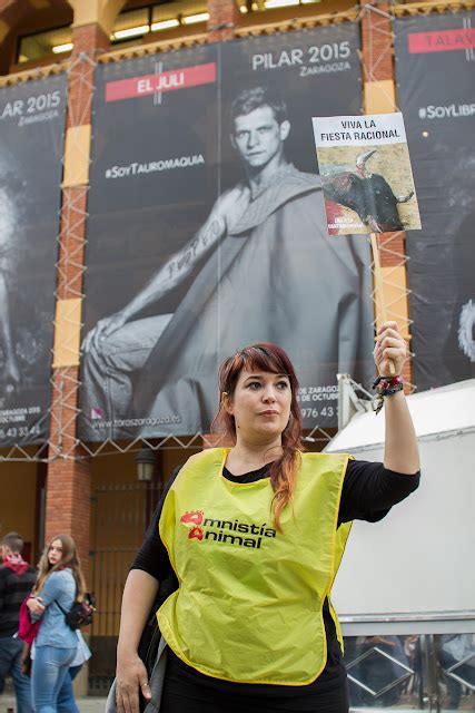 Qlio Org Fotos Fiestas Del Pilar Zaragoza Manifestaci N