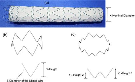 Stent-graft and its components: (a) full stent graft; (b) V-type stent ...