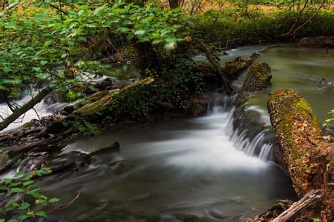 Premium Photo | A stream in the forest with a small waterfall