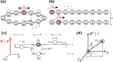 The System We Consider A One Dimensional Chain Of Atoms With Nearest