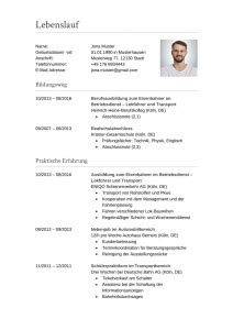 Bewerbung als Lokführer Bahnfahrer Muster Tipps