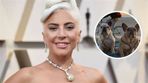 Por Qu Lady Gaga No Quiere Pagar La Millonaria Recompensa A La Mujer