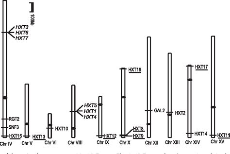 Figure 1 From Expansion Of Hexose Transporter Genes Was Associated With