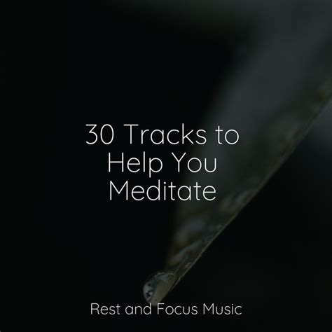 Tracks To Help You Meditate Album By Deep Sleep Systems Medita O