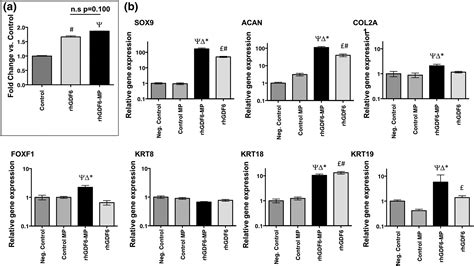 Microparticles For Controlled Growth Differentiation Factor 6 Delivery To Direct Adipose Stem