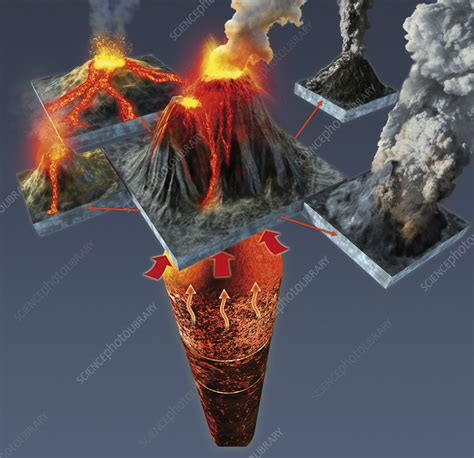 Volcano types, illustration - Stock Image - C058/0577 - Science Photo Library