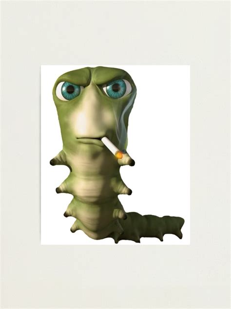 Smoking Caterpillar Meme Xddd Really Powerful Image Classic