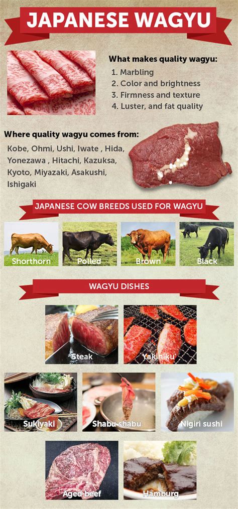 A Guide To Wagyu Premium Japanese Beef Lets Experience Japan