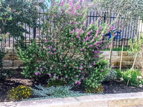 Vet Your Contractor, SOS! | Lisa's Landscape & Design