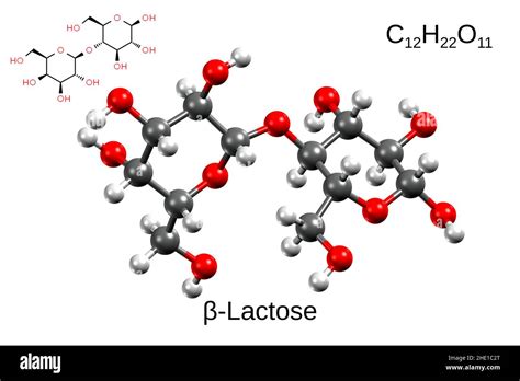 Chemical Formula Structural Formula And 3d Ball And Stick Model Of Beta Lactose White