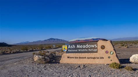 Ash Meadows National Wildlife Refuge – AdventureTaco