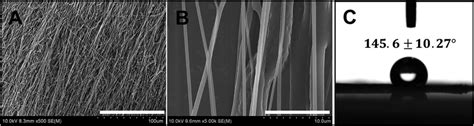 Characterization Of Electrospun Nanofibers A Sem Image Of