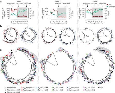 Phylogenetic Analysis Of Hiv 1 Sequences Isolated From Cd4 Tscm Cells