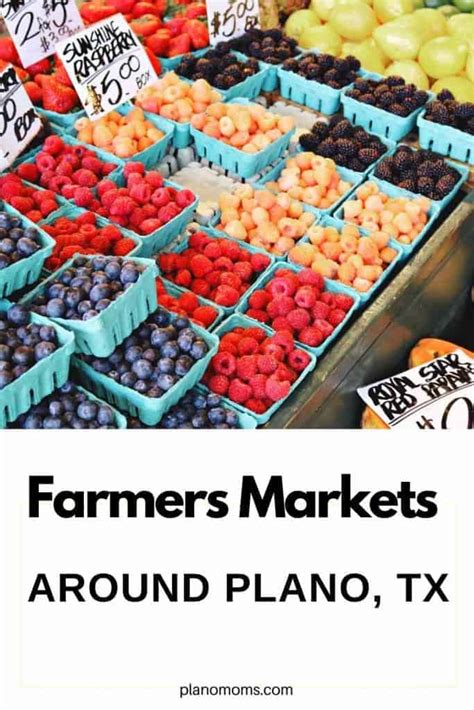 7 Best Places: Local Farmers Market Near Me