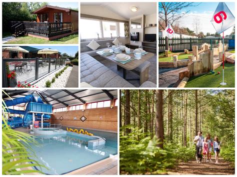 oakdene forest collage - Parent Friendly Stays