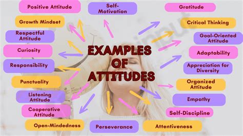 examples  attitudes  students
