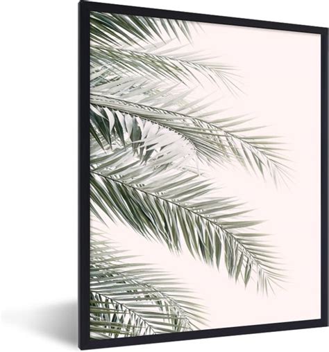 Fotolijst Incl Poster Plant Groen Natuur Wit 60x80 Cm