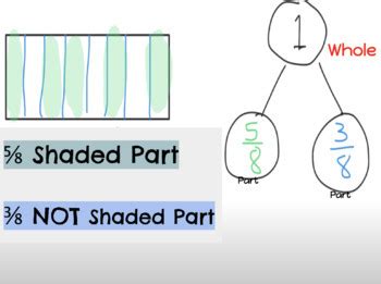 Fraction Shaded Unshaded Parts By Alicia Sprinkle Tpt