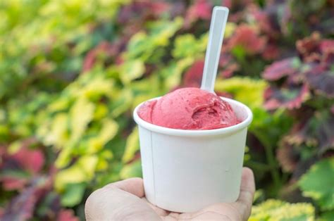 Premium Photo Midsection Of Person Holding Ice Cream