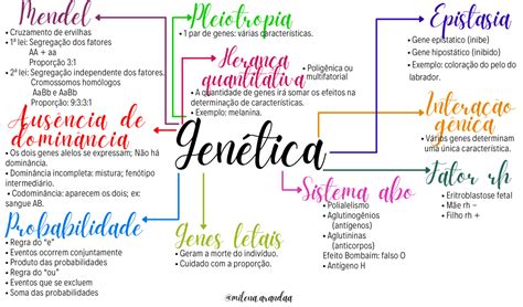 mapa mental genética Mapas mentais Cromossomos homologos Mapa mental