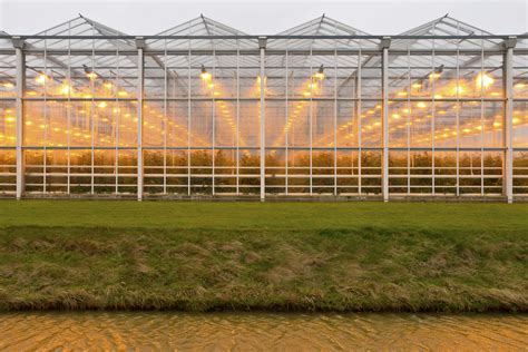 Greenhouse Growing Basics Choosing The Right Lighting For Your Greenhouse Farmer Boy