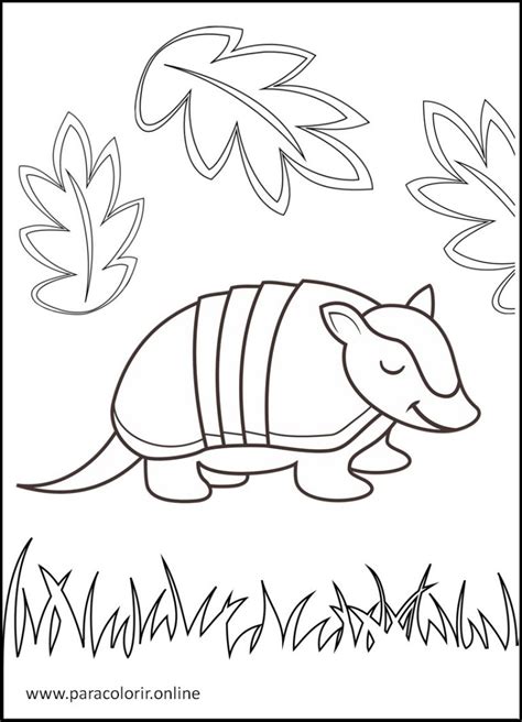 Desenhos De Animais Da Floresta Para Colorir Para Colorir