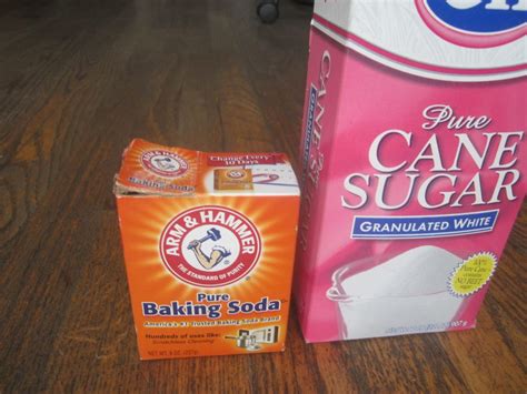 Pest Control With Baking Soda And Sugar The Smarter Gardener