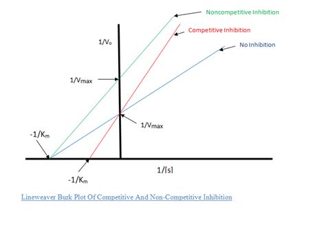 Chapter 3: Enzyme Kinetics Diagram | Quizlet
