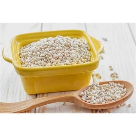 Jual Barley Biji Jali Jali Jelai Hanjeli Anjeli Import Kg Jakarta