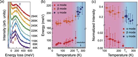 Topologically Nontrivial Interband Plasmons In Type Ii Weyl Semimetal