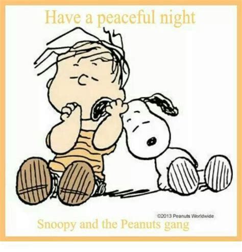 Pin By SuzAnne Dunlap On SNOOPY And PEANUTS Snoopy Love Snoopy