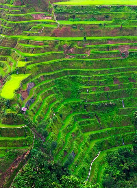 Banaue Rice Terraces Wallpapers Top Free Banaue Rice Terraces