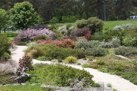 Creating a cottage garden style with Australian native plants ...