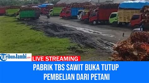 Waduh Pabrik Sawit Buka Tutup Pembelian Tbs Di Bengkulu Selatan Dengan