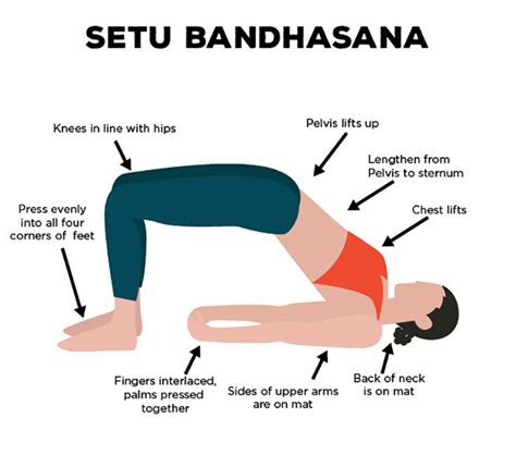 Setu bandhasana – Artofit