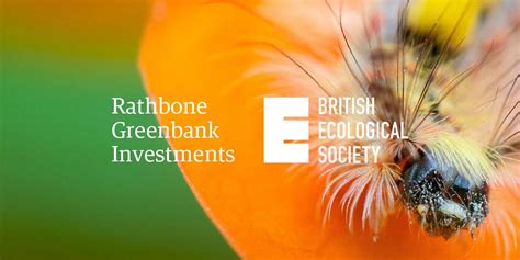 A Roundtable Discussion How Financial Institutions Can Measure Biodiversity Impacts And