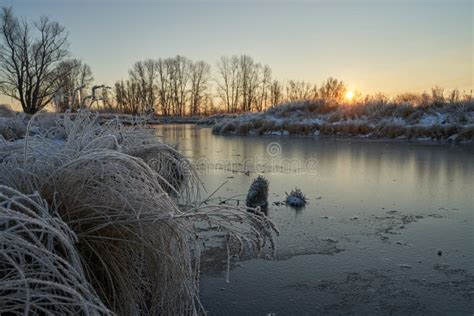 F Lego Do Inverno Primeiro Gelo No Lago Amanhecer Numa Manh Gelada