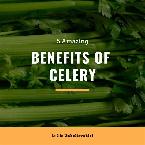 5 Amazing Benefits Of Celery, № 3 Is Unbelievable!
