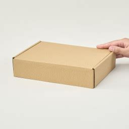 Caja Autoarmable 23x16x5 Kraft