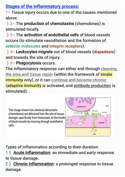 Solution The Inflammatory State Acute And Chronic Inflammation Studypool