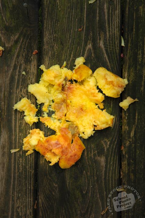 Rotten Apple, FREE Stock Photo, Image, Picture: Crushed Apple, Royalty
