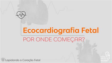 Ecocardiograma Fetal Por Onde Come Ar Dra Lilian Lopes