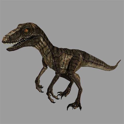 D Model Of Rigged Velociraptor Animation Raptor