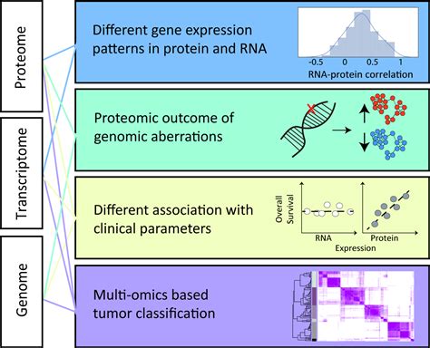 Cancer Proteogenomics Tami Geiger