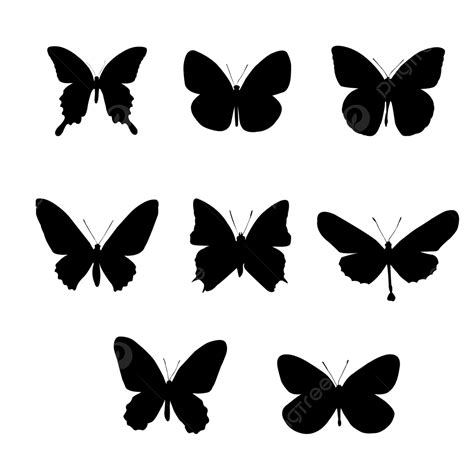 Butterfly Insect Black Color Silhouette Butterfly Butterflies Butterfly Insect Png