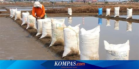 Produksi Garam 2014 Capai 2 5 Juta Ton