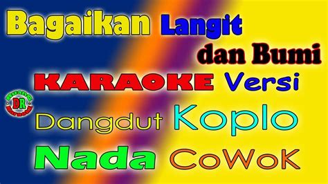 Bagaikan Langit Dan Bumi Via Vallen Nada Cowok Druang Karaoke Youtube