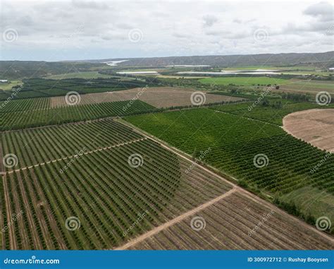 Aerial View of Agricultural Fields Stock Photo - Image of landscape ...