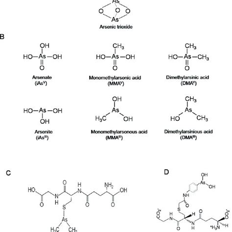 Structures Of Different Arsenic Compounds A Structures Of As 2 O 3