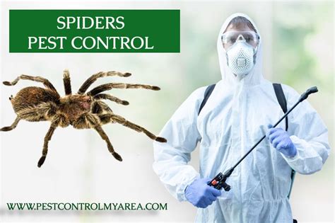 Spiders Pest Control Services Removal Exterminator